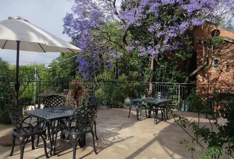 Bed and Breakfast Agterplaas Guesthouse Pty Ltd