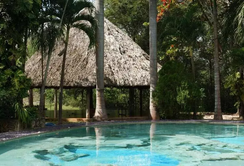 هتل Doralba Inn Chichen