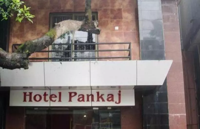 酒店 Pankaj +