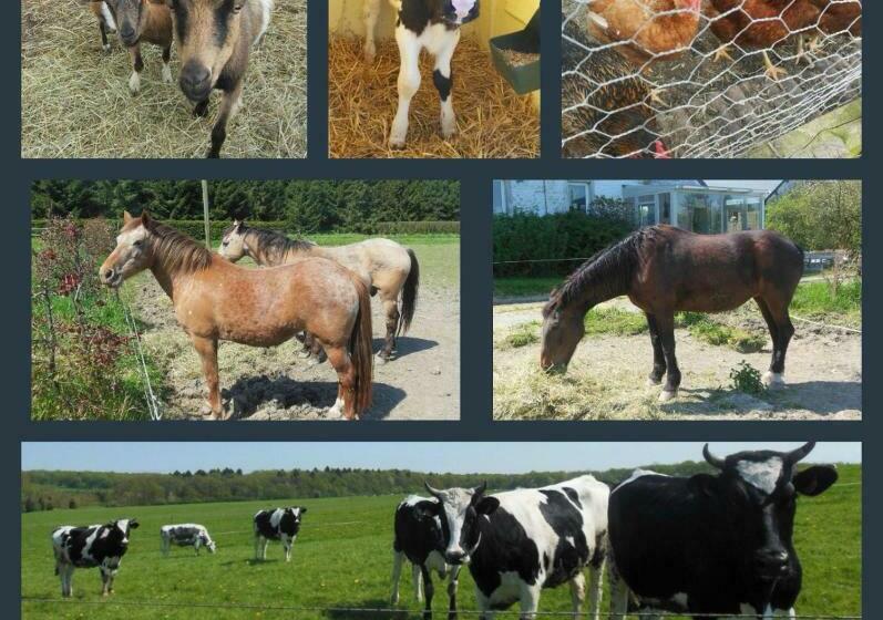 Bed and Breakfast Suite Romance