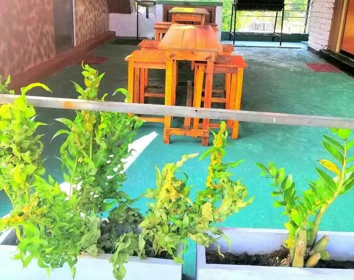 Bed And Breakfast Cabin
