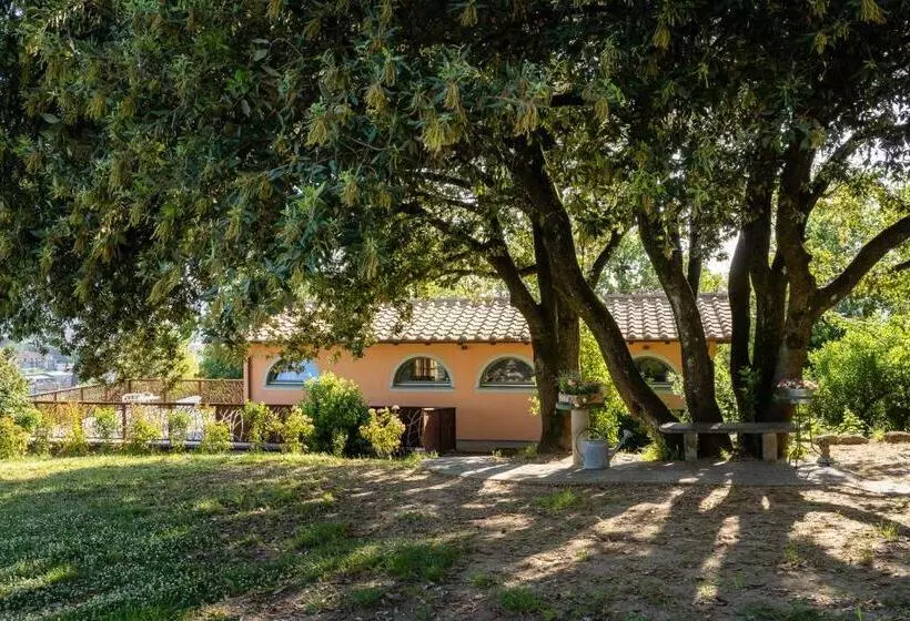 ホテル Agriturismo Bellandi