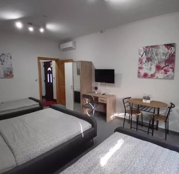 پانسیون Pansion San