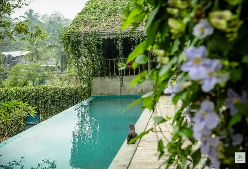 Bed and Breakfast Goddess Kandy