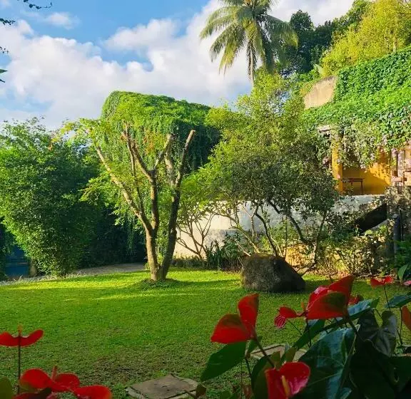 Bed and Breakfast Goddess Kandy