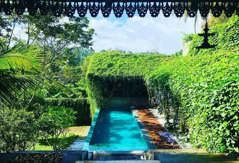 Bed and Breakfast Goddess Kandy