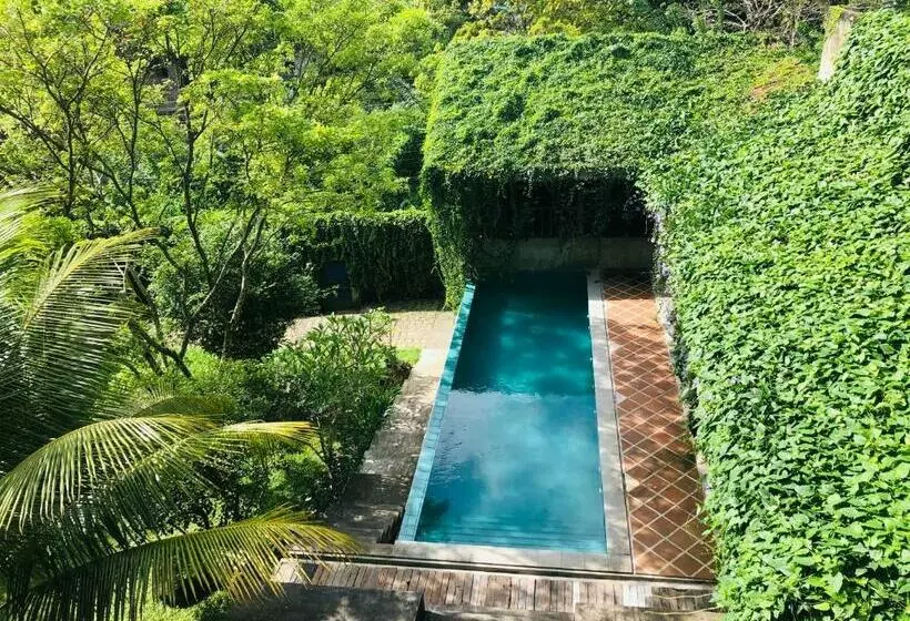 Bed and Breakfast Goddess Kandy