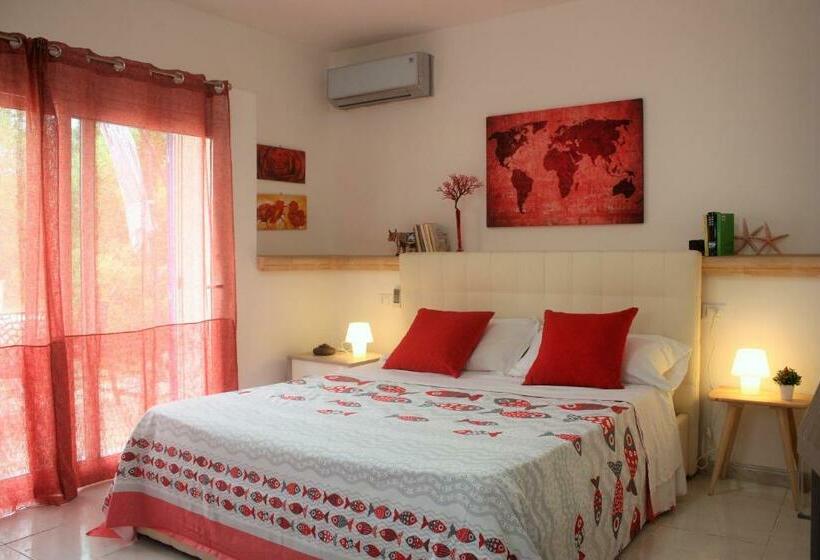 膳宿费 Canova Holidays Rooms Affittacamere