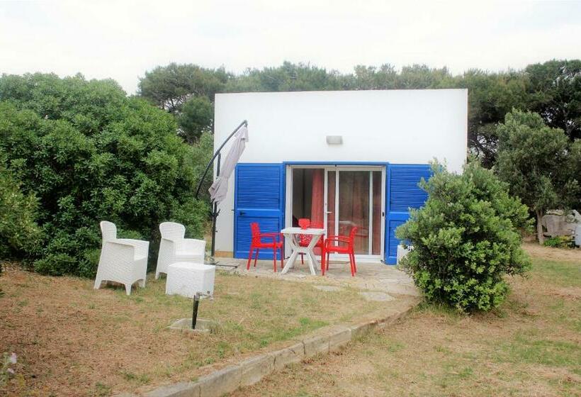 膳宿费 Canova Holidays Rooms Affittacamere