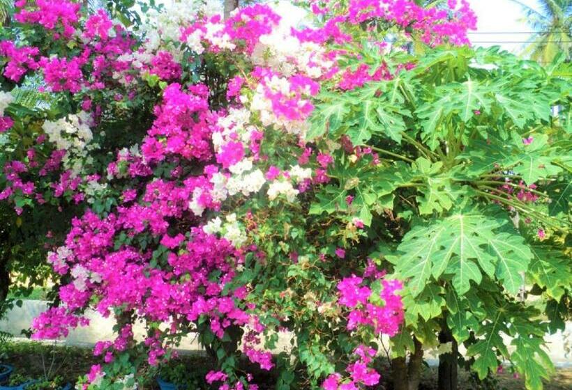 فندق White Sand Beach Nilaveli