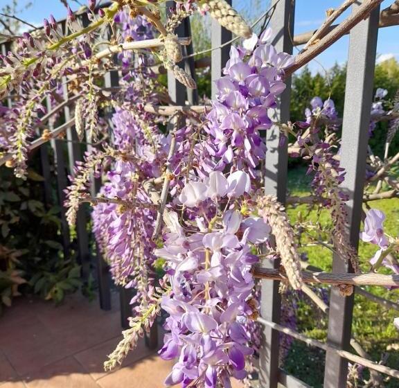 پانسیون La Terrazza Di Otto