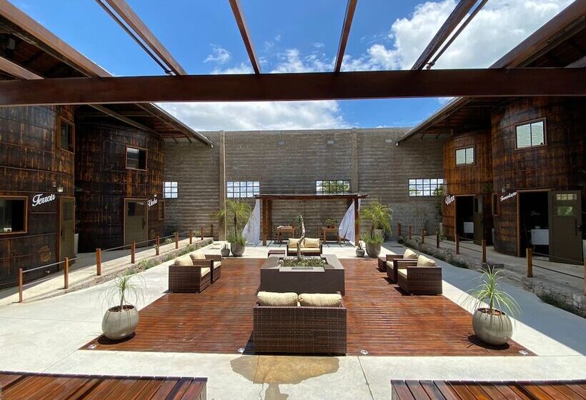 Pension Villa Vinicolla Hospedagem Conceito