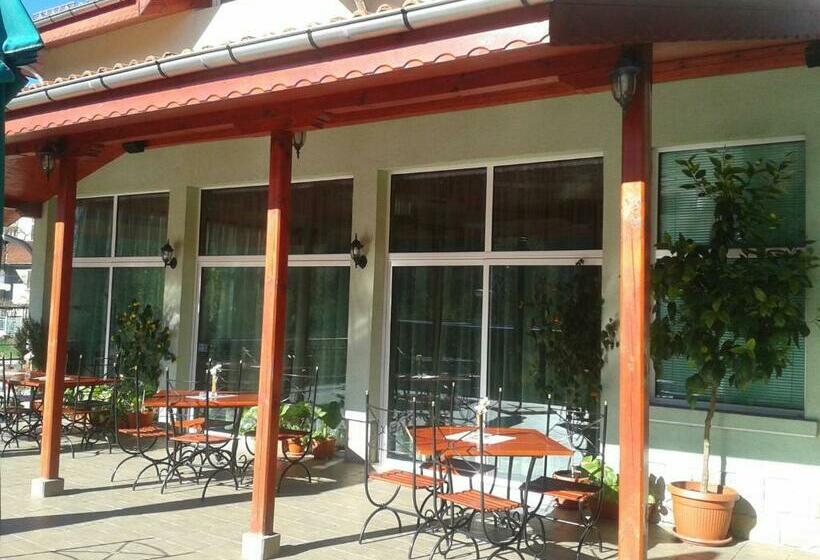 منتجع Complex Harmony/комплекс хармония