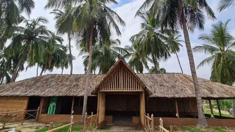 ペンション Coconut Tree Guest House