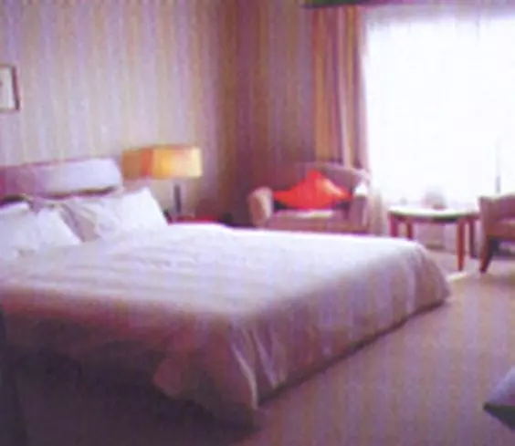 ホテル Clovelly Garden