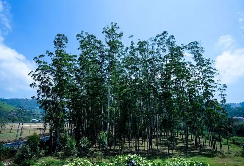 Hotel Hillview Munnar