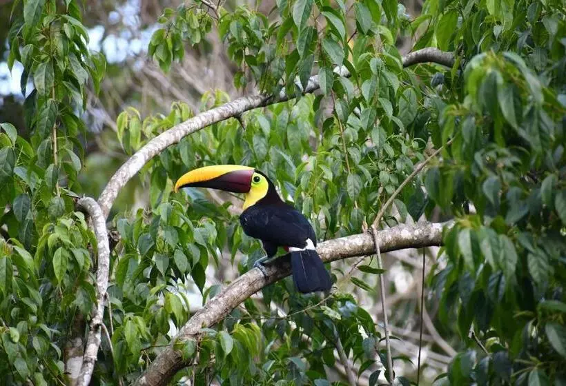 Rancho Pacifico   Boutique Hotel For Adults