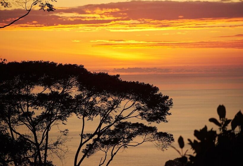 Rancho Pacifico   Boutique Hotel For Adults