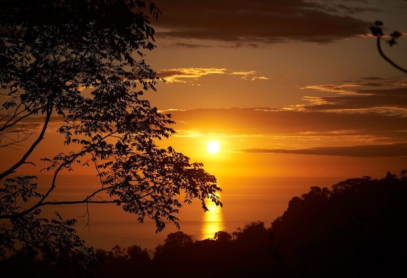 Rancho Pacifico   Boutique Hotel For Adults