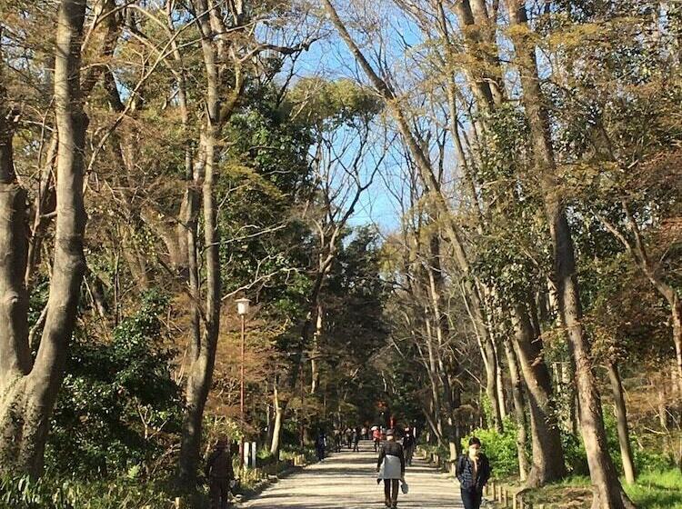 בית מלון כפרי The Screen