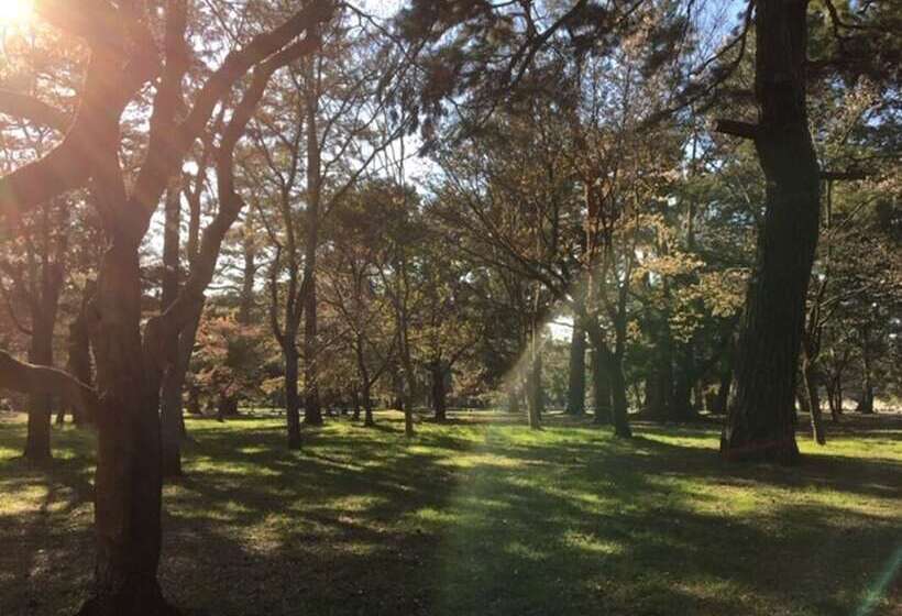בית מלון כפרי The Screen