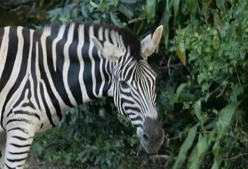 Hotelli Tradewinds Country Inn