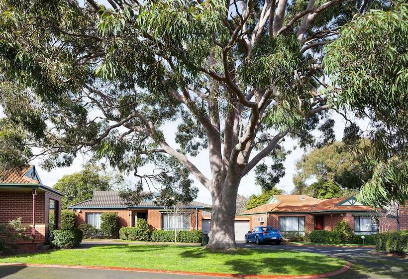 Park Avenue   Forest Hill