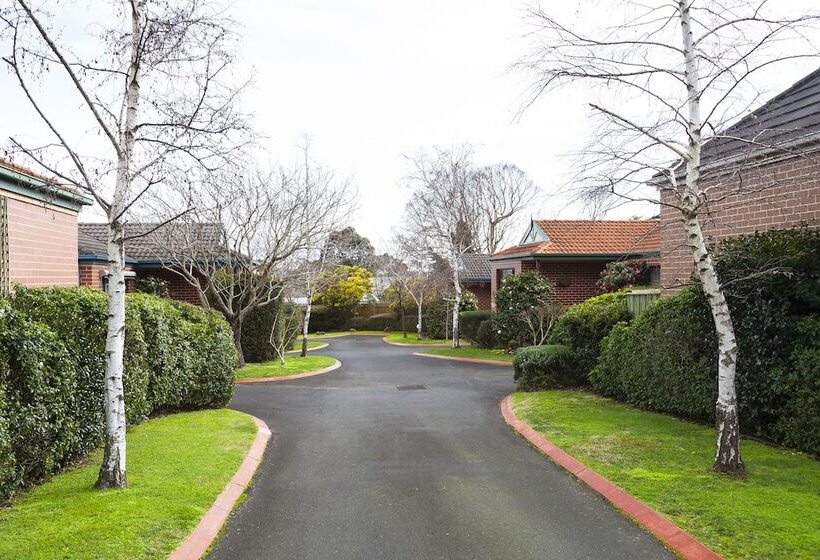 Park Avenue   Forest Hill