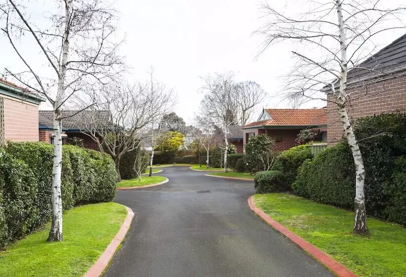 Park Avenue Forest Hill