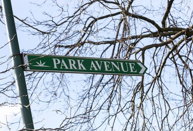 Park Avenue   Forest Hill