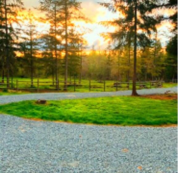 Отель Nisqually Highland Ranch! 35 Mi To Mt Rainier