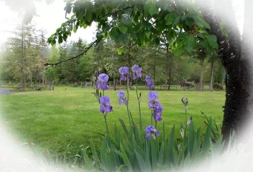 ホテル Nisqually Highland Ranch! 35 Mi To Mt Rainier
