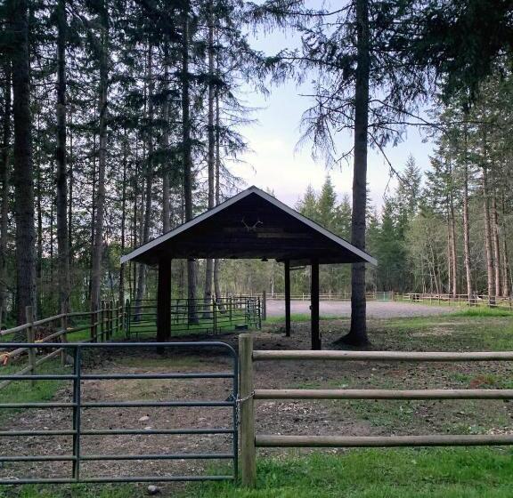 Отель Nisqually Highland Ranch! 35 Mi To Mt Rainier