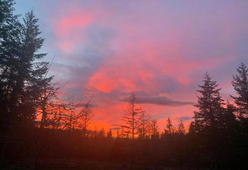ホテル Nisqually Highland Ranch! 35 Mi To Mt Rainier