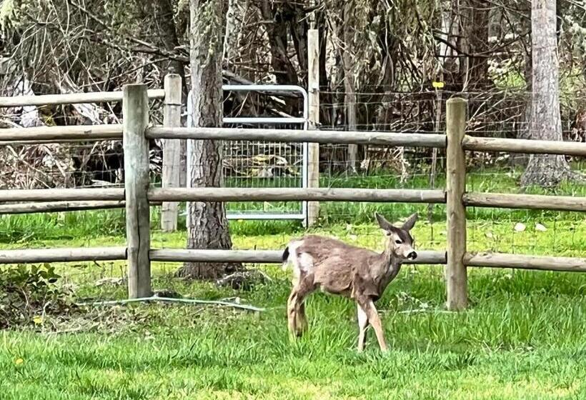 Отель Nisqually Highland Ranch! 35 Mi To Mt Rainier