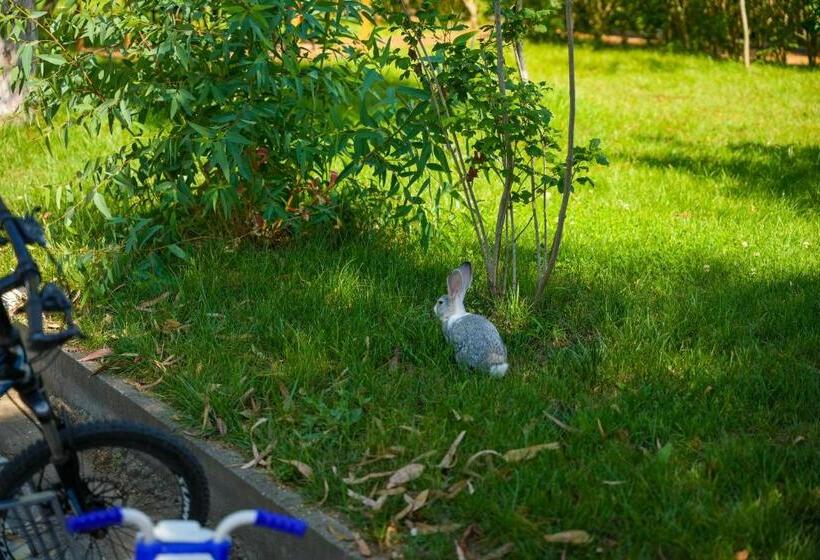 هتل Paradise Laguna Vain