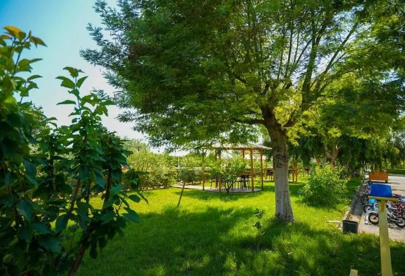 ホテル Paradise Laguna Vain