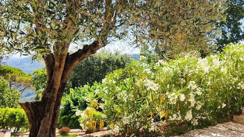 Loup Castel Boutique Hotel B&b