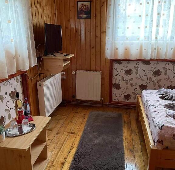 ペンション Vila Maria Dambovicioara