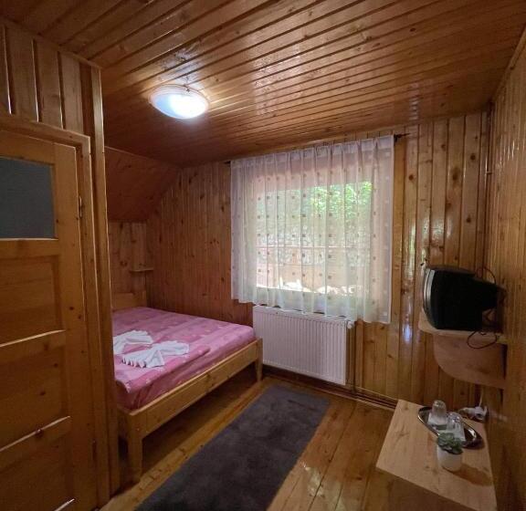 ペンション Vila Maria Dambovicioara