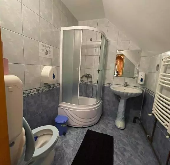 Majatalo Vila Maria Dambovicioara