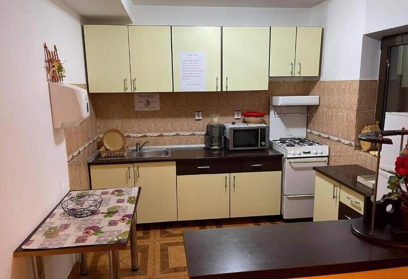 ペンション Vila Maria Dambovicioara