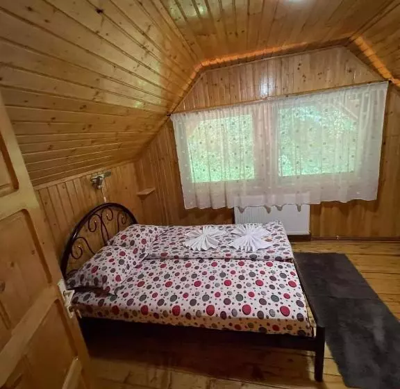 Majatalo Vila Maria Dambovicioara