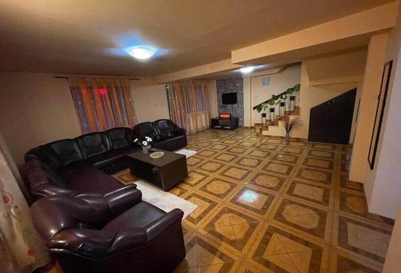 ペンション Vila Maria Dambovicioara