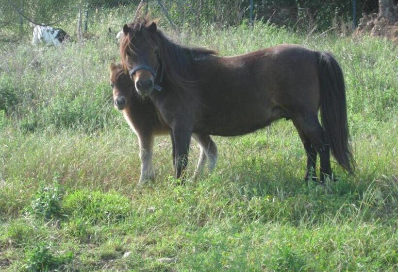 Bed & Breakfast Duchessa