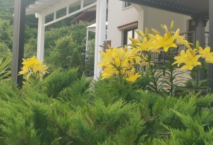 פנסיון Villa Unique