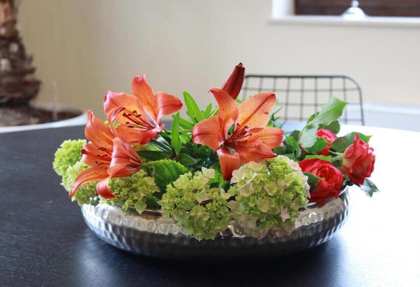 פנסיון Villa Unique