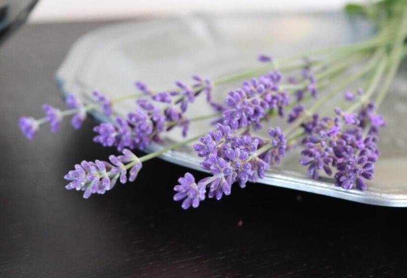 פנסיון Villa Unique