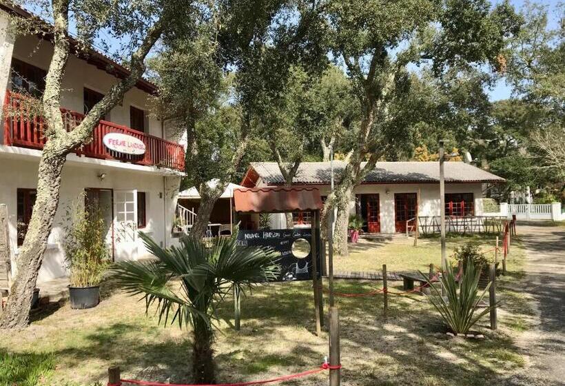 فندق صغير Nouvel Horizon Guest Center Landes