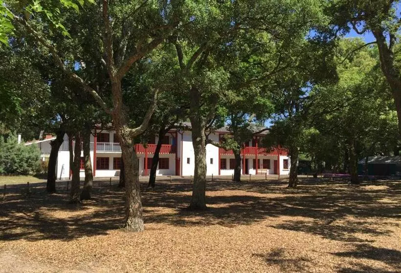 هاستل Nouvel Horizon Guest Center Landes